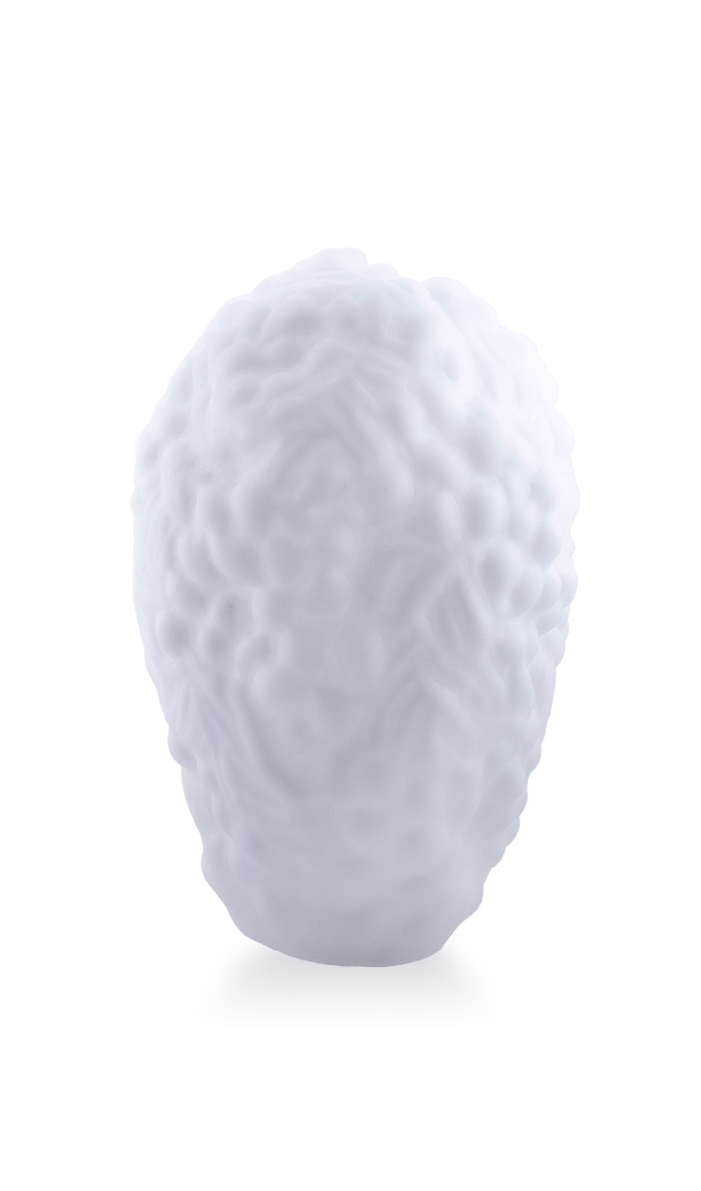 Gyromitra White